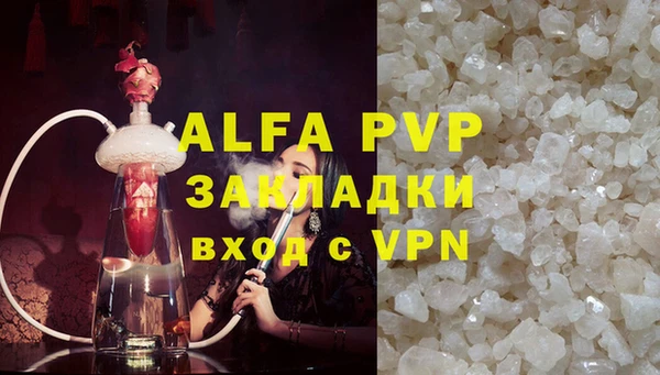 спиды Кукмор