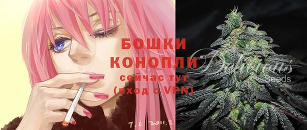 мдпв Кулебаки