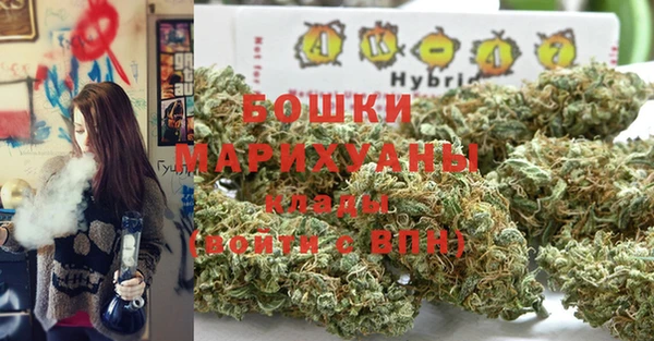мдпв Кулебаки