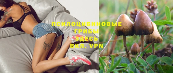 мдпв Кулебаки