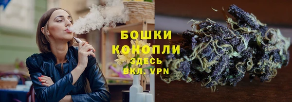 спиды Кукмор